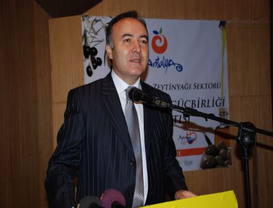 OSMAN BAĞDATLıOĞLU - Zeytinciler Antalya`da Bir Araya Geldi