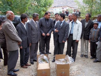 UMURLU - Sason`da Çilek Üretimi Yaygınlaşıyor