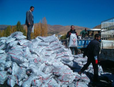AHMET GÜNAYDıN - İhtiyaç Sahiplerine Kömür Dağıtımı