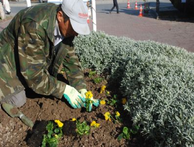 Melikgazi Belediyesi İlkbahar İçin Hazırlıklarını Tamamladı