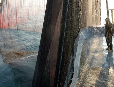 Balıkçıların ağına 145 bin dolar takıldı