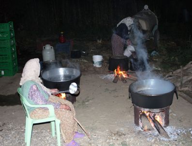 85 Yaşında Pekmez Yapıyor