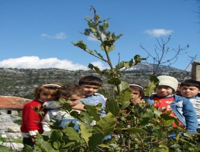 Manavgat`ın 4 Köyünde Defne Kesimi 10 Gün Sonra Bitecek
