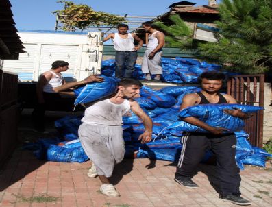 Öğrenciler Ekmeğini Kömürden Çıkarıyor