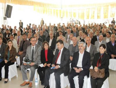 EROL DORA - Bdp Mardin İl Teşkilatı Olağanüstü Kongresi Yapıldı