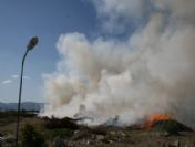 Böyle Temizlik Görülmedi