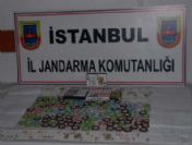 Çiftlik evine kumar baskını