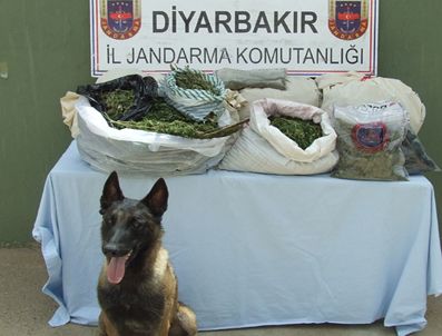 Diyarbakır`da Terör Örgütüne ``uyuşturucu`` Darbesi