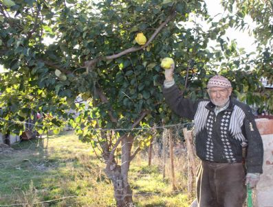 Gökçeler Köyü Sakinlerinden Ali Osman Torun:
