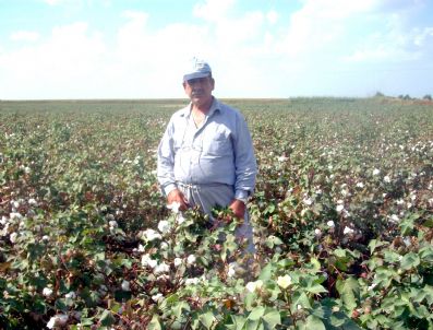 ÇUKOBIRLIK - Karadağ`dan Çukobirlik`e Tepki