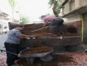 Kilisli Üzüm Üreticisi Kuru Üzüm Fiyatlarından Memnun