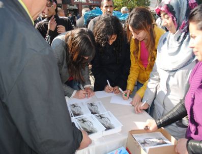Malatya Temalı Kartpostallar Dağıtıldı
