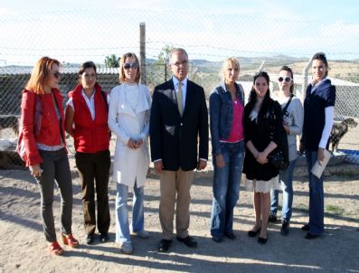 LAHEY - 4 Ekim Dünya Hayvanları Koruma Günü