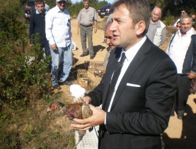 500 Sülün ve 400 Saka Kuşu Doğaya Salındı