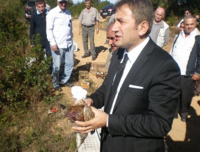 500 Sülün ve 400 Saka Kuşu Doğaya Salındı