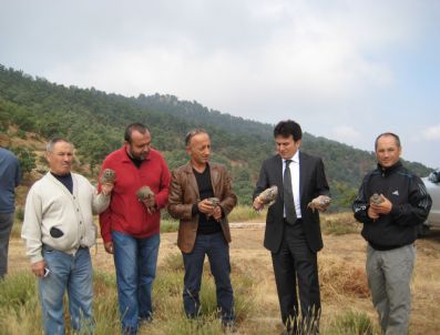 FARUK EKIZ - Eşme’de Doğaya 300 Keklik Salındı