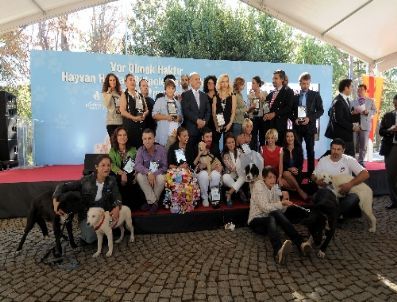 Hayvan Dostları ve Sanatçılar: Hayvanlar İçin De `var Olmak Haktır`