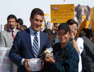 DÜNYA HAYVANLARı KORUMA GÜNÜ - Şişli Belediyesi`nden Sokak Hayvanları İçin Kampanya