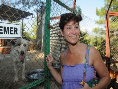Alanya’da Her Yıl 25 Köpek Avrupalı Oluyor