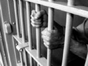 Albay Tok, Balyoz'dan tutuklandı