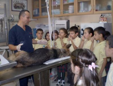 Minik Öğrenciler İlk Kez Veteriner Kliniğini Ziyaret Etti