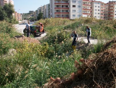 Mudanya`da Haşereyle Mücadele