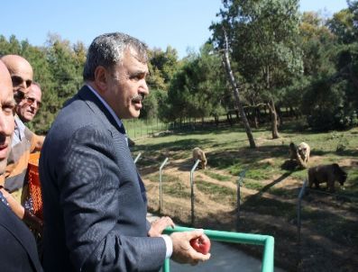 Yaban Hayvanları Bilimsel Yöntemlerle Tedavi Edilecek