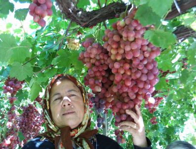 Ceviz Üzüm Sofraların Vazgeçilmezi Oldu