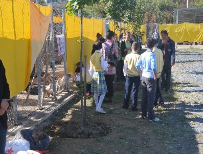 MEHMET ÜNAL - Hayvanlar Aç Kalmasın Diye Yardım Kampanyası Düzenlendi