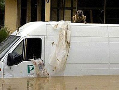 Sel felaketindeki 8 ölümle ilgili dava sonuçlandı