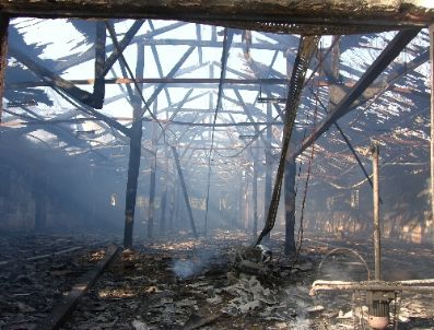 Yangında 26 Bin Civciv Telef Oldu