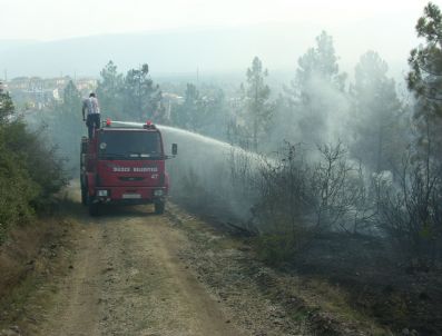 Düzce'de Yangını