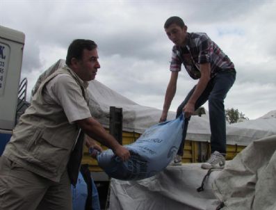 Hububat Tohumları Dağıtıldı