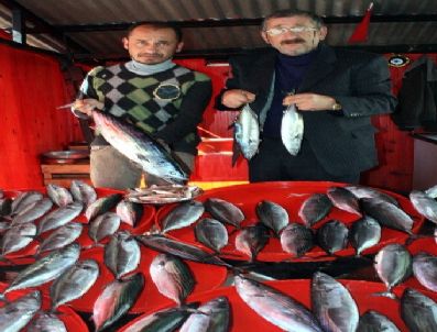 Palamut Bolluğu Dar Gelirlinin Yüzünü Güldürdü