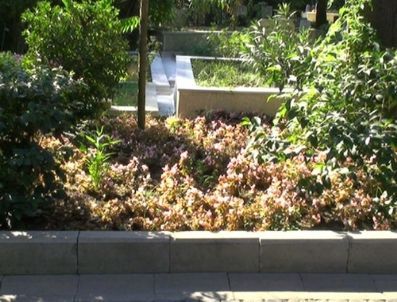 Tenzile Erdoğan Buraya Defnedilecek