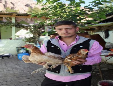 Erzurum'da 5 Tırnaklı Tavuk Şaşırttı