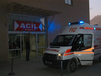 ÇANAKLı - Hakkari'de Trafik Kazaları; 7 Yaralı