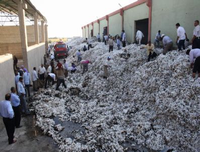 Pamuk Fabrikasında Yangın