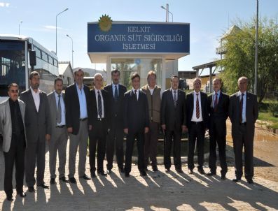 Türkiye’nin Organik Süt Üretiminin Yüzde 90’ını Kelkit Sağlıyor