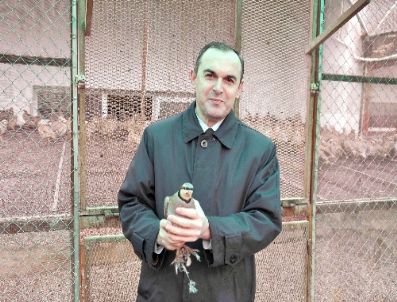 Yozgat Keklik Üretim İstasyonu`nda 5 Bin 800 Keklik Üretildi