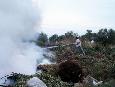 EMIN ÇÖLAŞAN - Ayvalık Şirinkent’te Korkutan Yangın