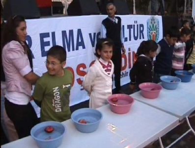 MEHMET UÇAR - Doğanşehir 7. Elma ve Kültür Festivali Düzenlendi