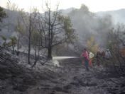 Osmancık`ta 10 Dönüm Ardıçlık Alan Yandı