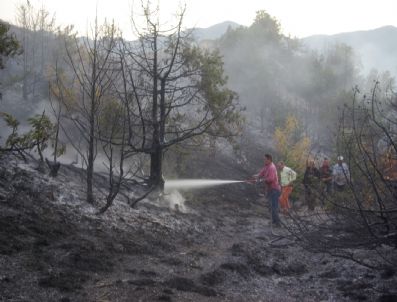 İBRAHIM KÜÇÜK - Osmancık`ta 10 Dönüm Ardıçlık Alan Yandı