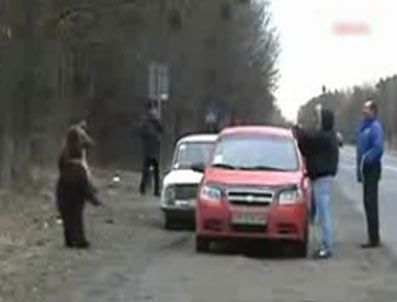 Ayılar aç kalınca otoyol bastı