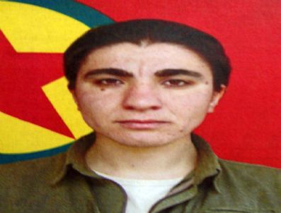 Canlı Bombanın Nazlı Görer Olduğu Açıklandı