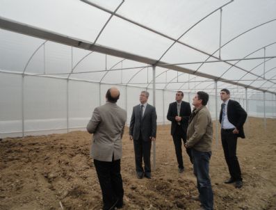 ERDAL ÇAKıR - Erbaa Kaymakamı Çakır: Balık Yemeye Değil, Tutmaya Teşvik Ediyoruz