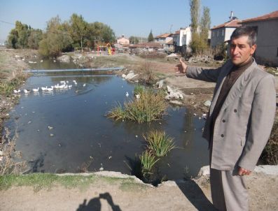 (özel Haber) Perli Mahallesi Tekrar Köy Olmak İstiyor