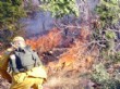 Aydın’da Orman Yangınlarında Yanan Alan Her Yıl Azalıyor