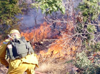 MUĞLA ORMAN BÖLGE MÜDÜRÜ - Aydın’da Orman Yangınlarında Yanan Alan Her Yıl Azalıyor